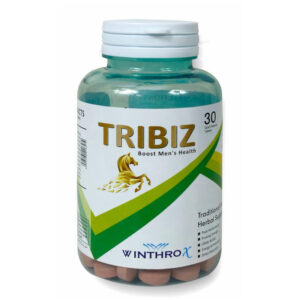 Tribiz